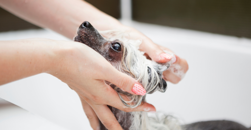 Do hairless pets need baths?