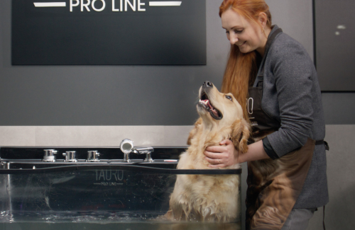 Bathing and drying techniques for pets