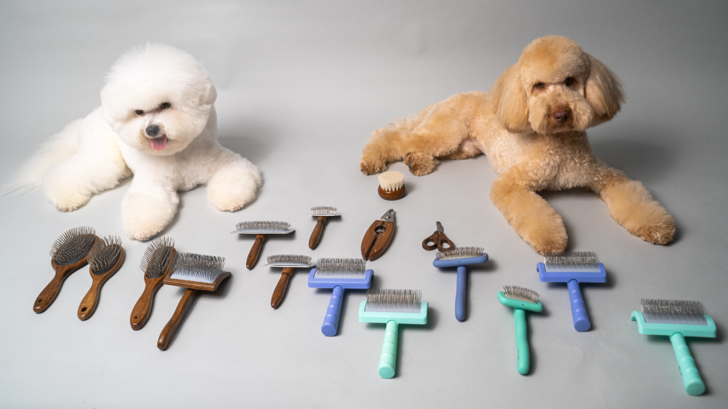 Ensuring both beauty and health: how often to brush your dog?