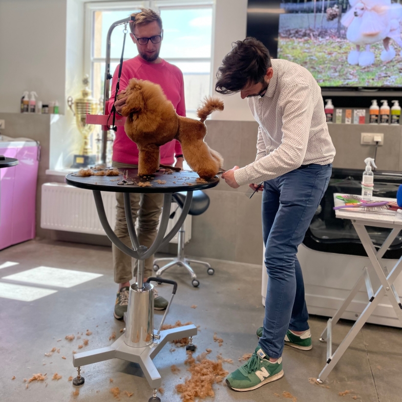 Advanced Training for groomers
