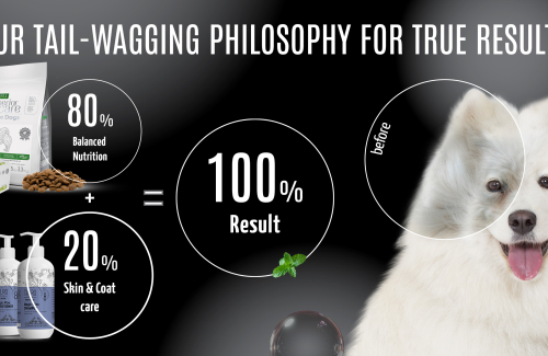 How proper nutrition affects your pet’s coat