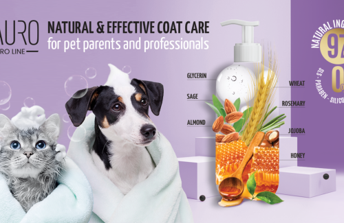 The Science Behind Natural Pet Shampoos: Why pH Balance Matters for Your Pet&#039;s Skin