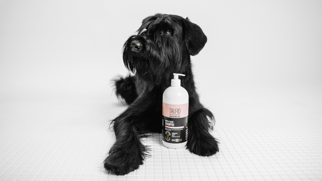 Can I use my own shampoo for my dog or cat?