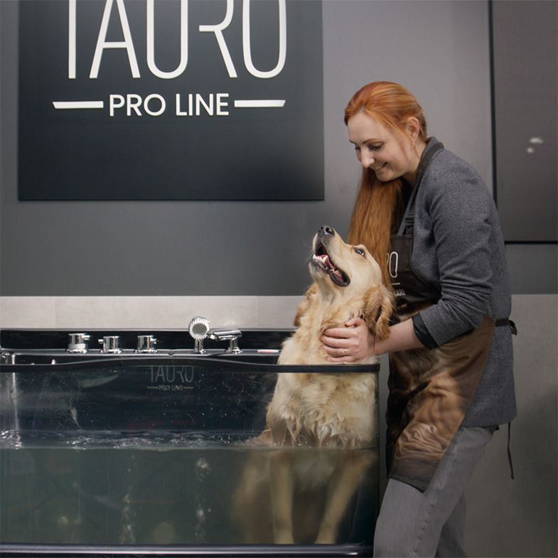 EFFECTIVE GROOMING ENVIRONMENT