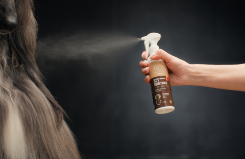 Caring for problematic skin and coat