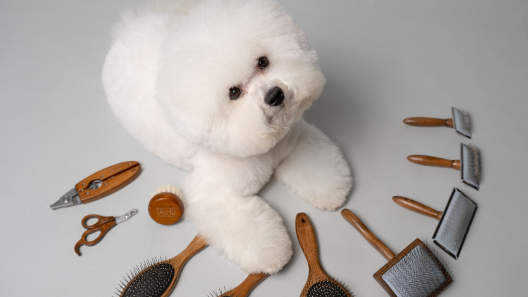 Choosing The Ideal Slicker Brush For Your Beloved Pet