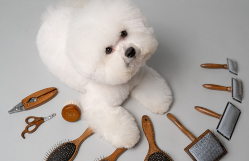 Choosing The Ideal Slicker Brush For Your Beloved Pet
