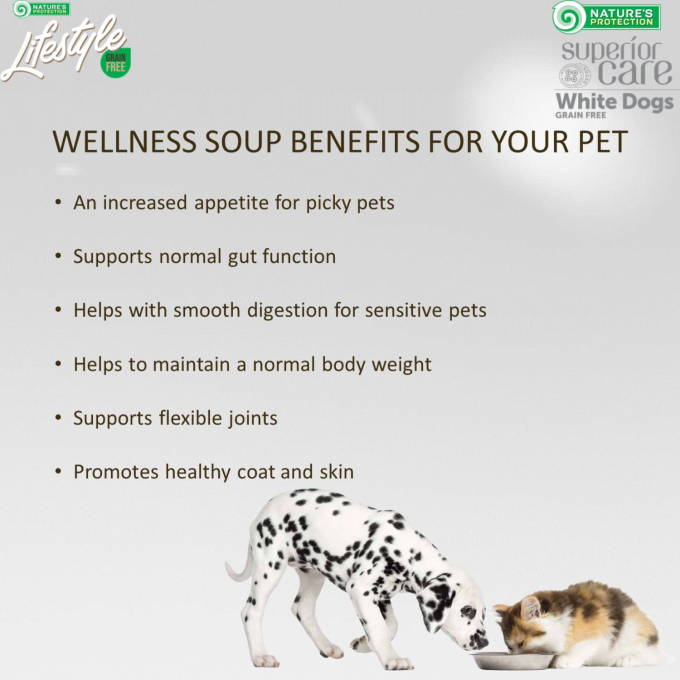complementary feed - soup for sterilised adult cats with salmon - 2