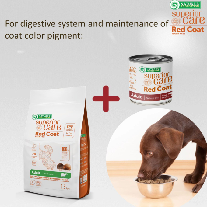 Red Coat complementary feed - soup for adult dogs of all breeds with salmon and tuna - 5