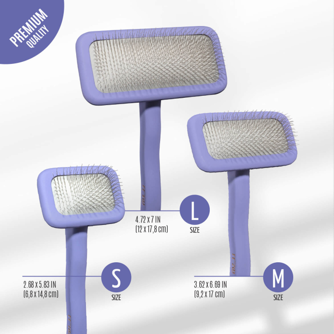 Brosse en bois, de forme rectangulaire - 1