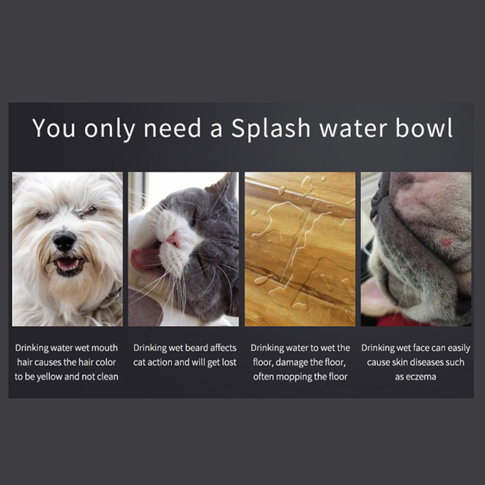 bowl for water - 1