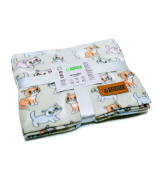 blanket, with kittens