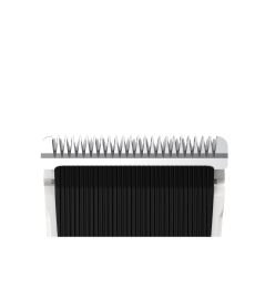 interchangeable head