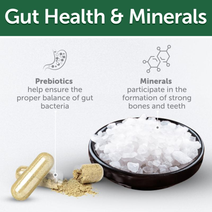 complementary grain free feed - snacks for free gums and oral care with insects for junior all breed dogs with red coat - 2