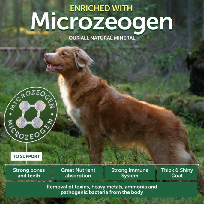 complementary grain free feed - snacks for free gums and oral care with insects for junior all breed dogs with red coat - 4