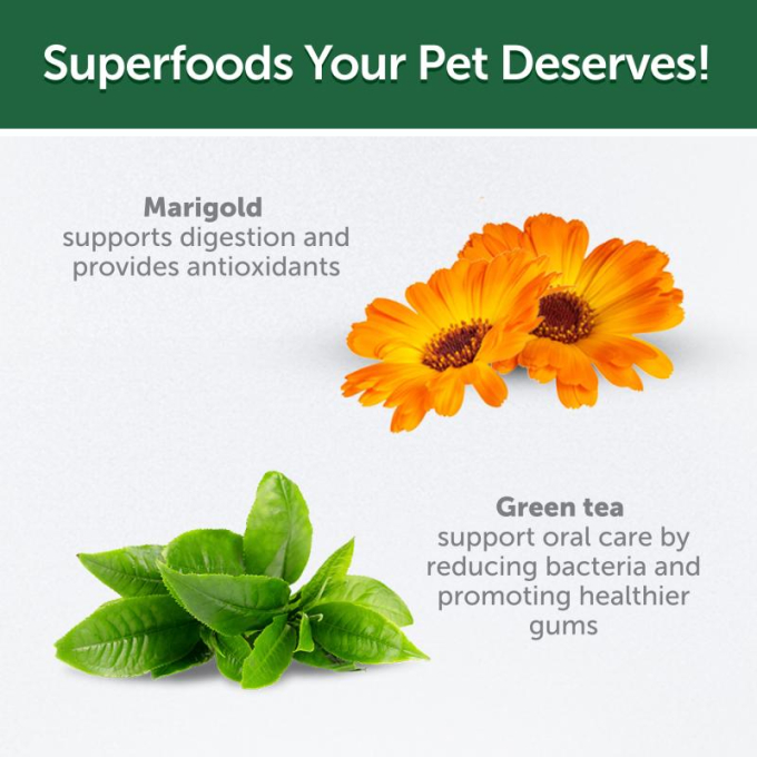 complementary grain free feed - snacks for free gums and oral care with insects for junior all breed dogs with red coat - 6