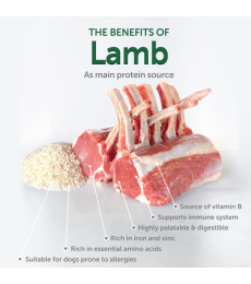 dry food for adult, small and mini breed dogs with white coat, with lamb