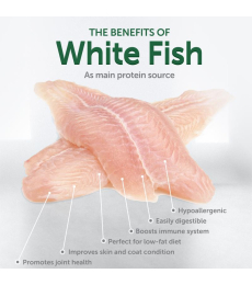 dry food with white fish for adult dogs of large breeds with white coat