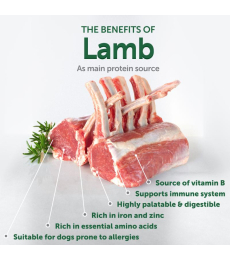 dry grain free food for adult dogs of small breeds with red coat, with lamb 