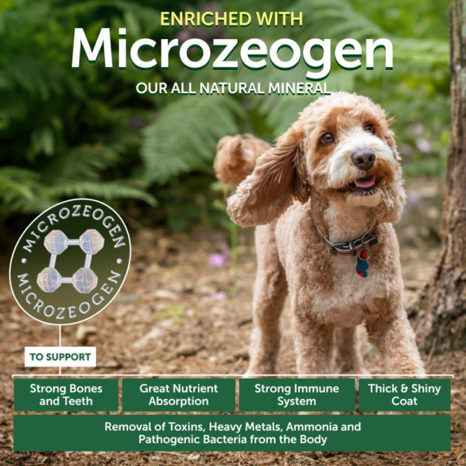 dry grain free food for adult dogs of small breeds with red coat, with lamb  - 2