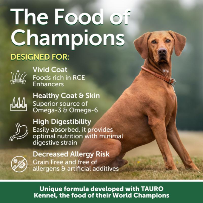 dry grain free food for adult dogs of small breeds with red coat, with lamb  - 4