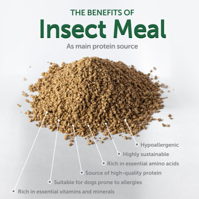 dry grain free pet food with white fish for dogs of all sizes and life stages with white coat - 3