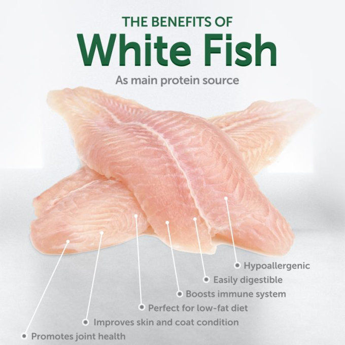 dry pet food with white fish for growing dogs of all sizes with white coat - 1