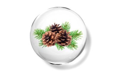 Aceite esencial de cedro del Himalaya