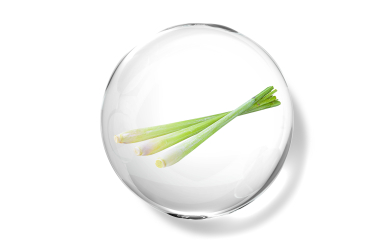 Lemongrass essential oil