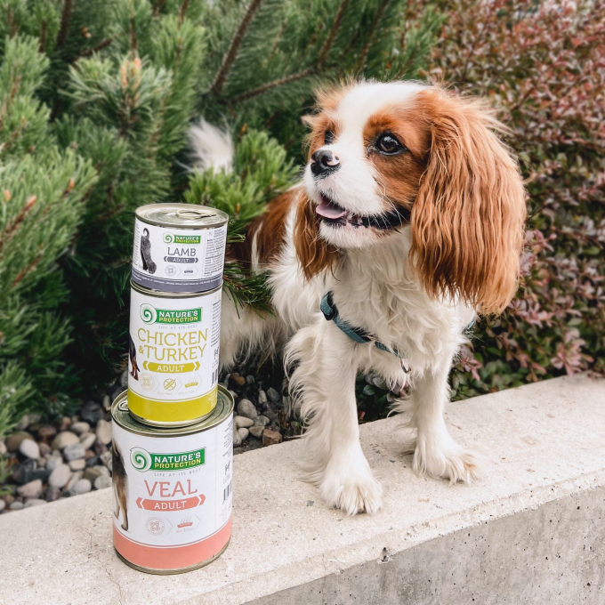 Cibo in scatola per cani - 4