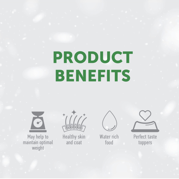 Red Coat Ergänzungsfuttermittel - Suppe für ausgewachsene Hunde aller Rassen mit Lachs und Thunfisch - 2