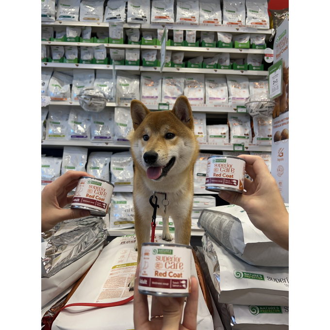 Red Coat Ergänzungsfuttermittel - Suppe für ausgewachsene Hunde aller Rassen mit Lachs und Thunfisch - 3
