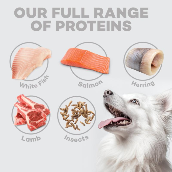 dry grain free food for adult, small and mini breed dogs with salmon - 12