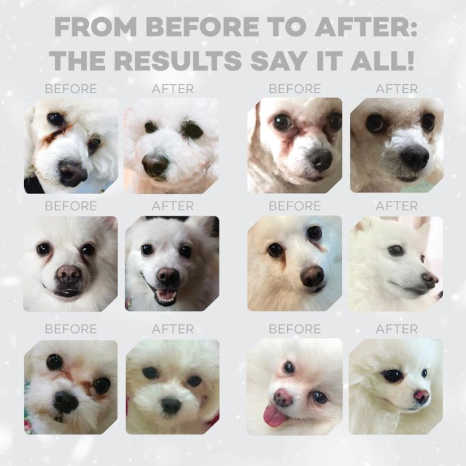 dry food for adult, small and mini breed dogs with white coat, with lamb - 9