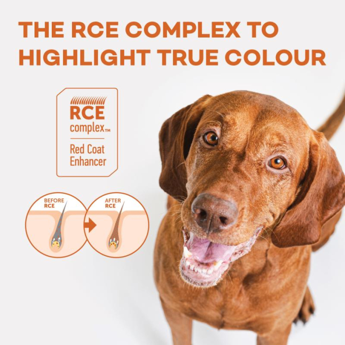 Red Coat Grain Free Salmon Adult Small Breed pienso seco para perros - 6