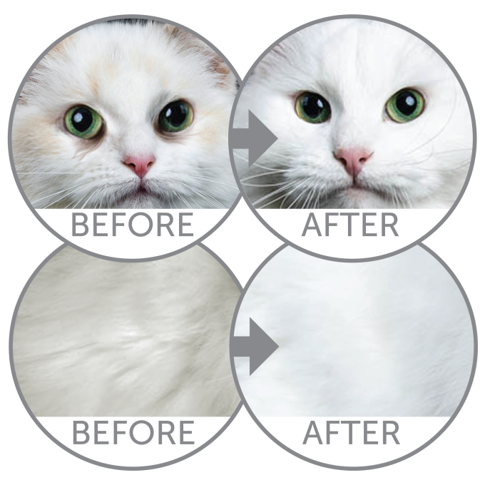 cibo secco senza cereali con aringa per gatti adulti di tutte le razze con pelo bianco - 9