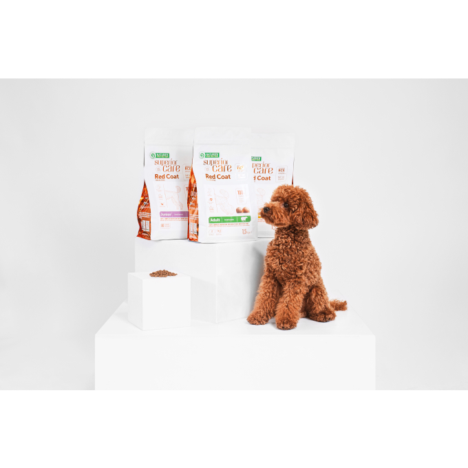 alimento seco sin cereales para perros adultos de razas pequeñas de pelo rojo, con cordero  - 5