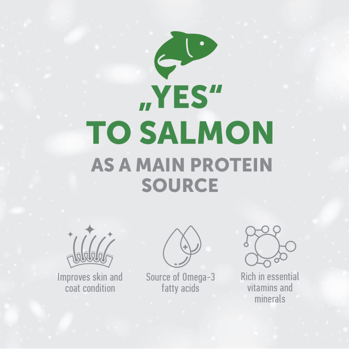 dry grain free pet food with salmon for adult sensitive dogs of all breeds - 3
