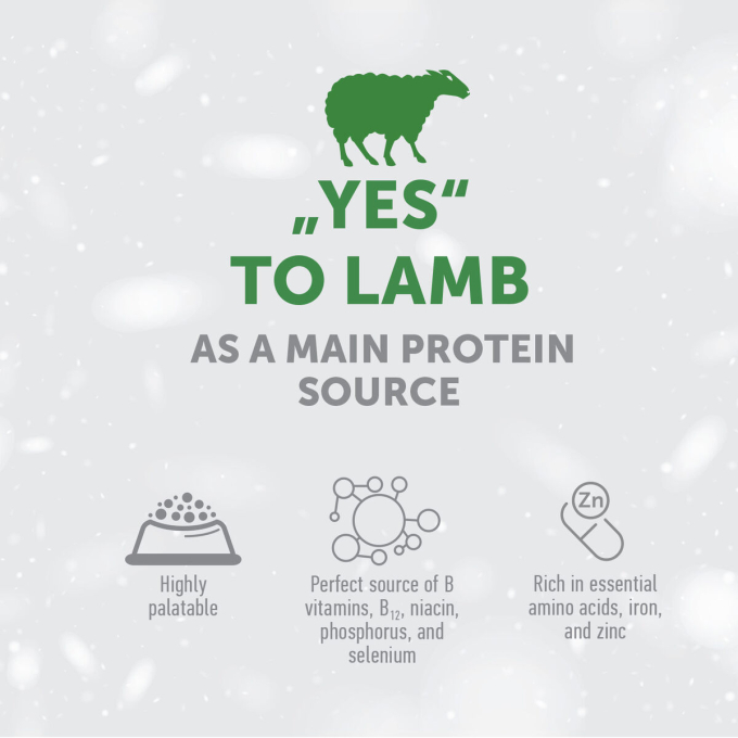dry food for adult dogs of all breeds with sensitive skin and stomach, with lamb - 3