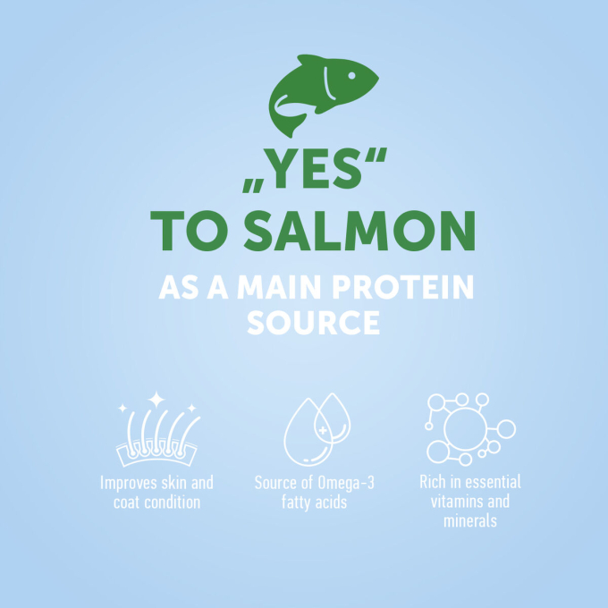 dry food for adult small breed dogs with salmon - 2