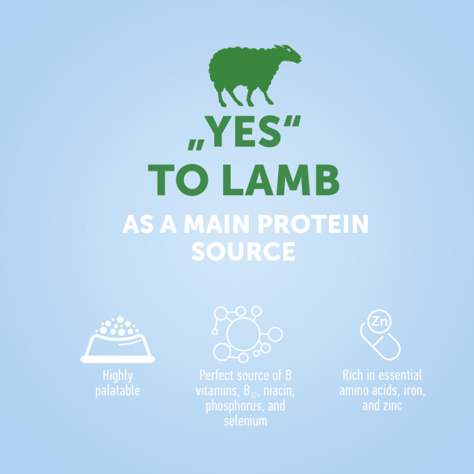 dry food for adult small breed dogs with lamb - 2
