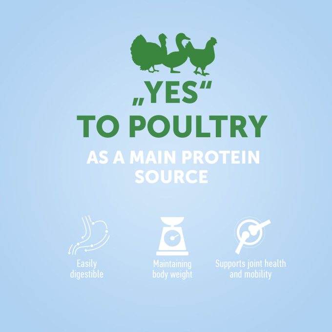 dry food for adult small breed dogs with poultry and krill - 1