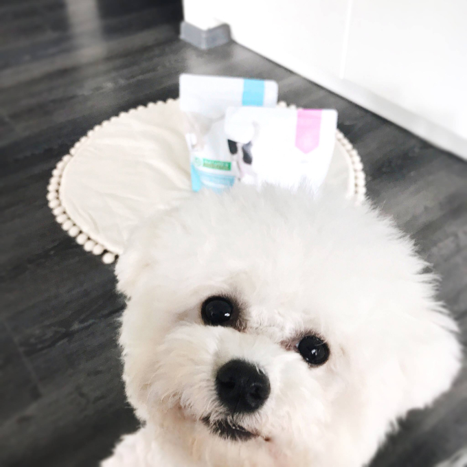 droogvoer voor junior honden van alle rassen met gevogelte - 8