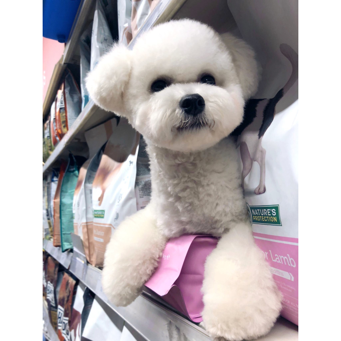 сухой корм для юниоров всех пород собак с ягненком - 8