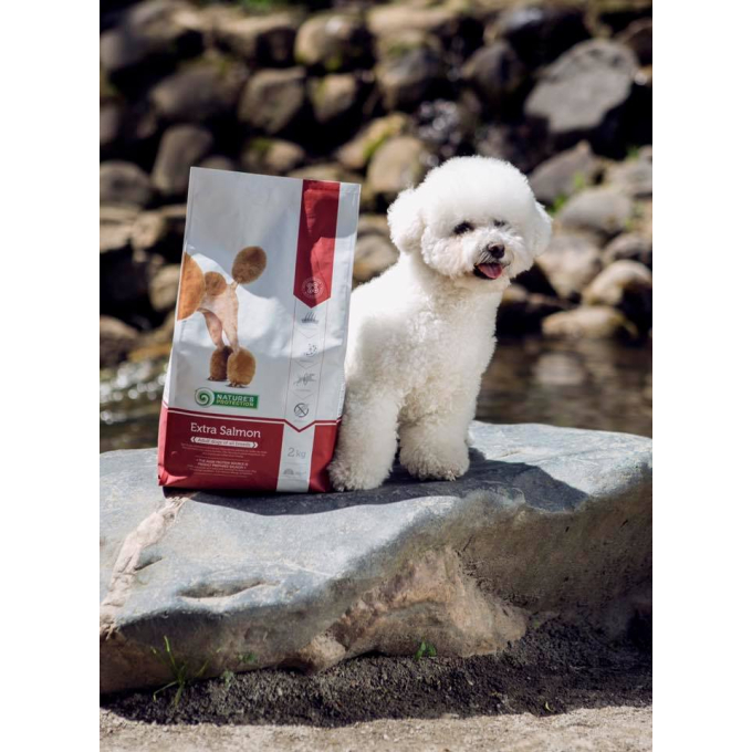 nourriture sèche pour chiens adultes de toutes races avec du saumon - 8