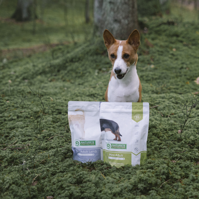 trockenfutter für ausgewachsene Hunde kleiner Rassen mit Geflügel und Krill - 9