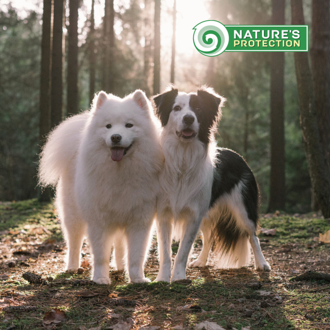 dry food for active adult dogs of all breeds with poultry and krill - 8