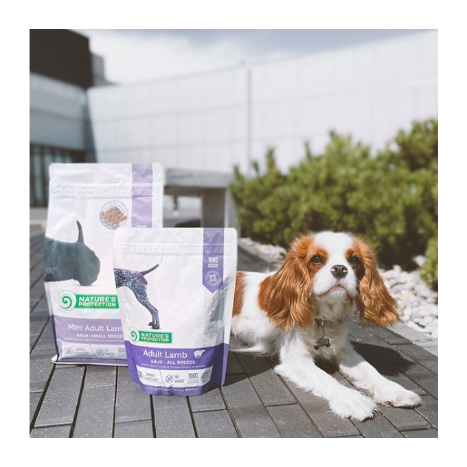 aliments secs pour chiens adultes de petite race avec agneau - 8