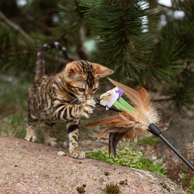 comida en lata para gatos junior con pavo y conejo - 3