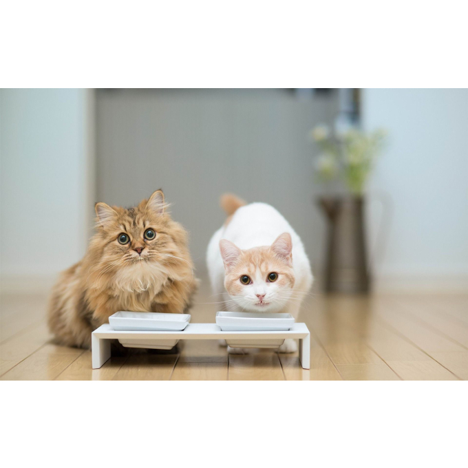 Faugis, aanvullend diervoeder voor volwassen honden en katten, wellness-formule 5in1 - 4